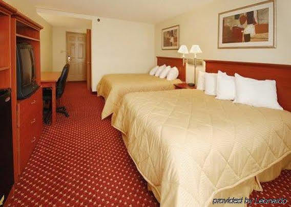 Comfort - Albany South Inn